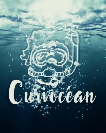curiocean intro project